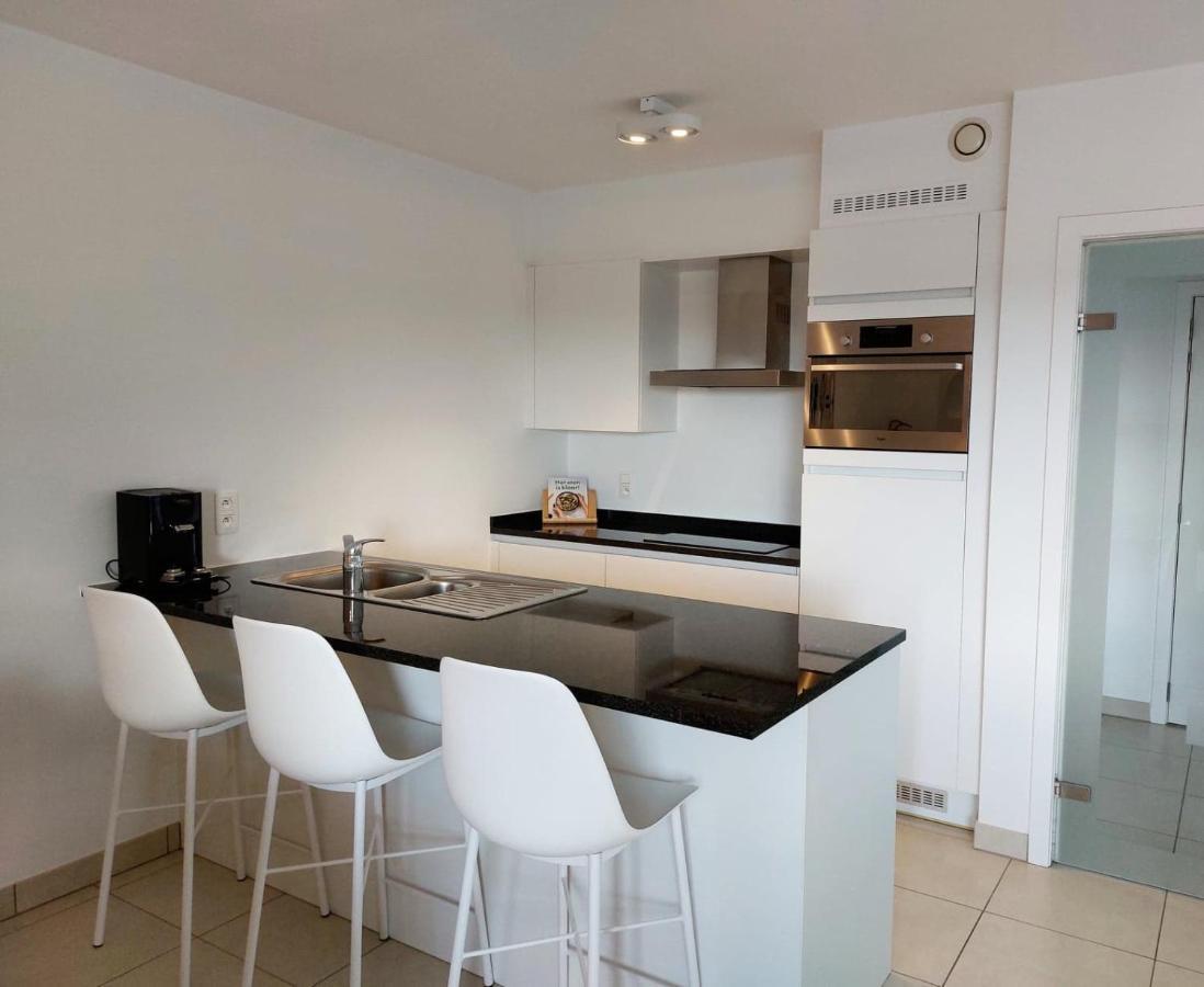 Duplex Villa Capricia Appartement Met Zwembad Nieuwpoort Jachthaven 외부 사진