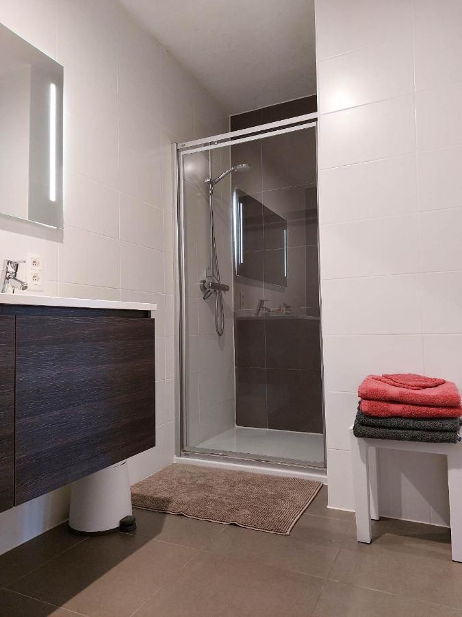 Duplex Villa Capricia Appartement Met Zwembad Nieuwpoort Jachthaven 외부 사진